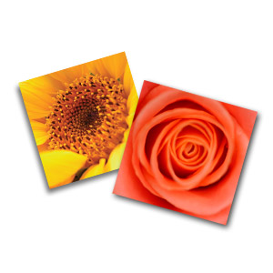 In store photo printing